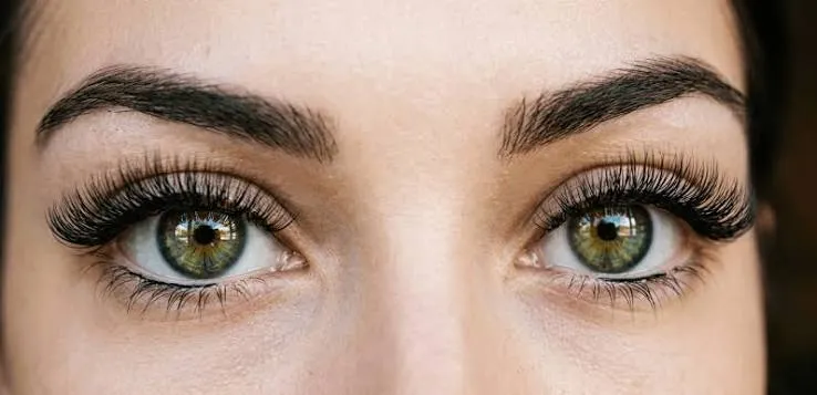 Beauté du regard